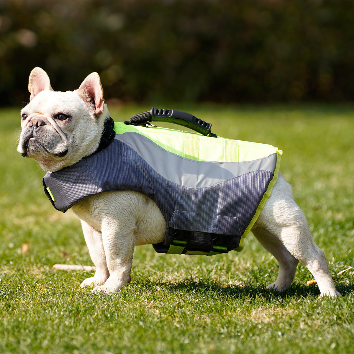 Ensure Your Pet's Safety with Our Reflective Pet Life Jacket