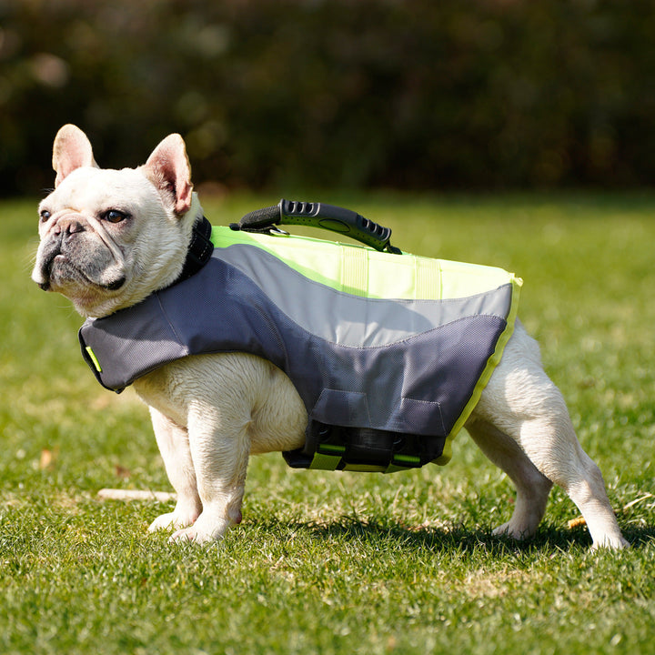 Ensure Your Pet's Safety with Our Reflective Pet Life Jacket