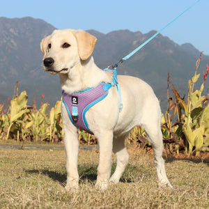 Adjustable Breathable Pet Harness Leash