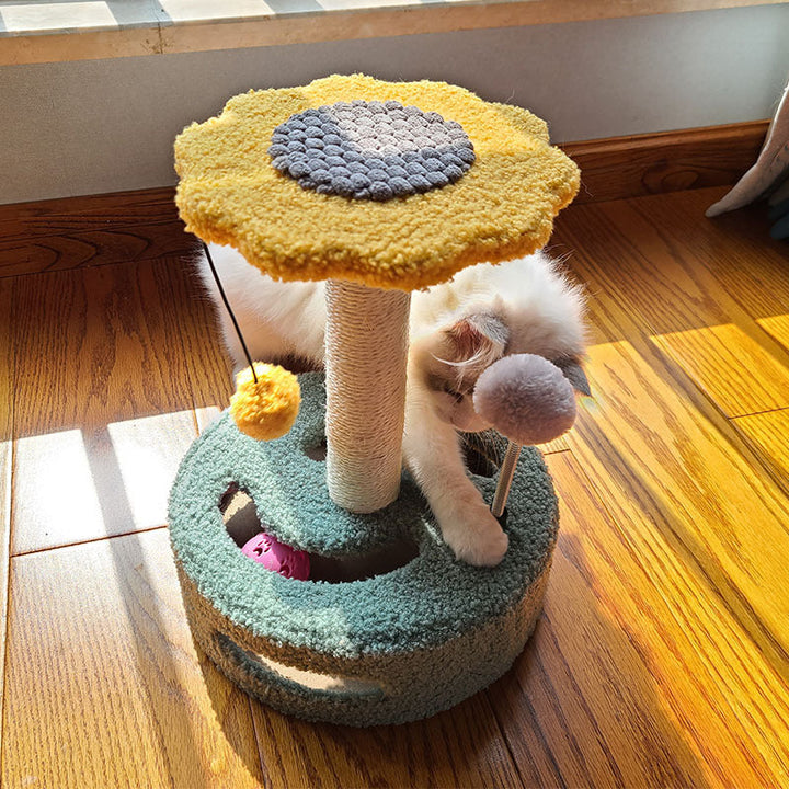 Why Your Cat Needs the Pet Scratching Board for Claw Grinding and Play