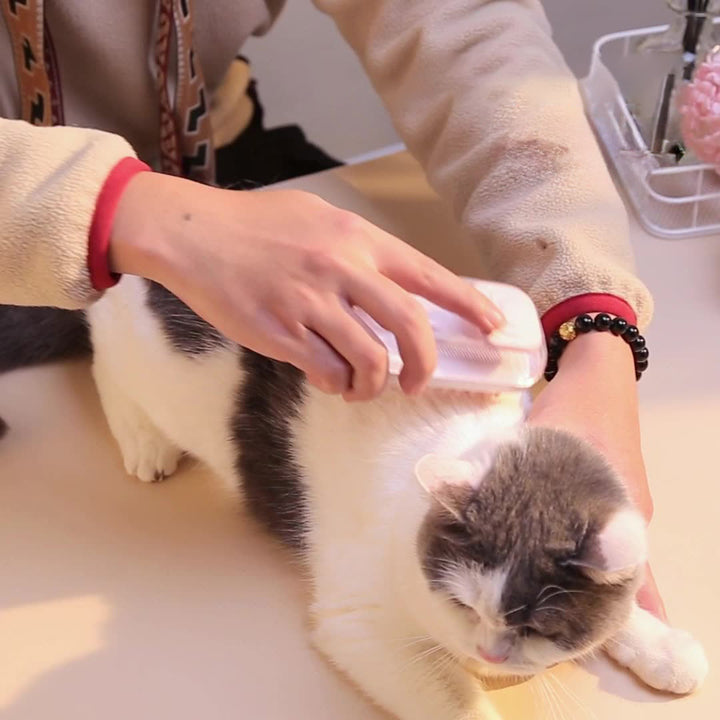 Transform Bath Time into a Spa Experience for Your Pet