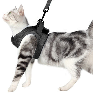 Discover the Ultimate Comfort for Your Feline Friend