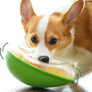 Transform Mealtime with the Avocado Anti-Tumble Pet Feeding Bowl