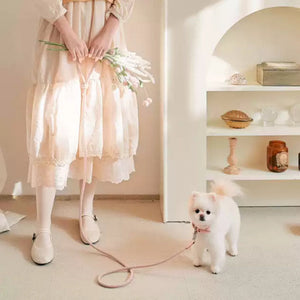 Leather Pet Collar And Leash For Small Medium Pets