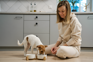 Healthy Pet Feeding Supplies For Nutrition