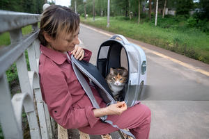 Premium Pet Carriers For Safe Travel